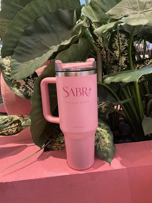 SABR — CHAPTER V